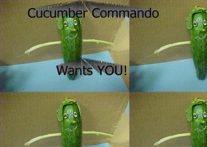 Cucumber Commando
