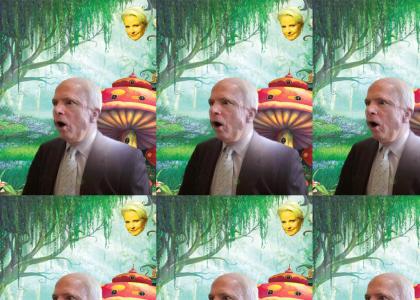 McCain Watches in Amazement