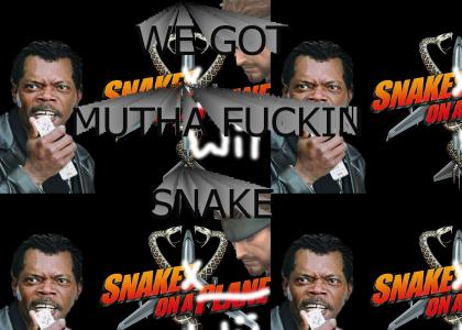 Snake on a Wii