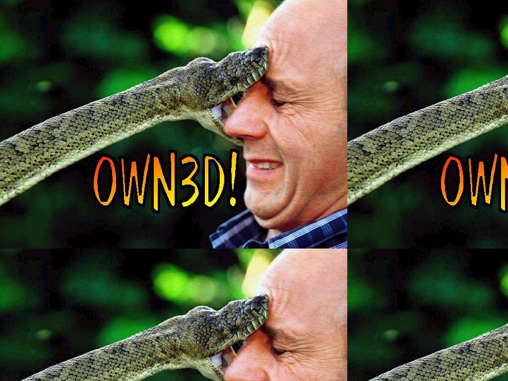 snakeowned