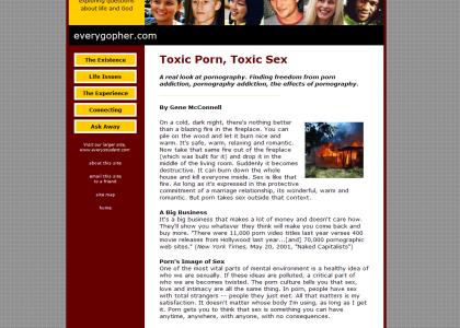 Toxic Porn, Toxic Sex