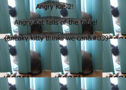 Angry Kat 2
