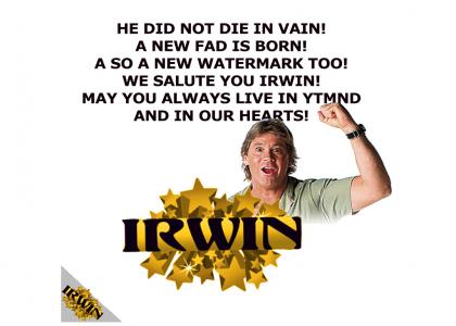 Irwin lives through YTMND
