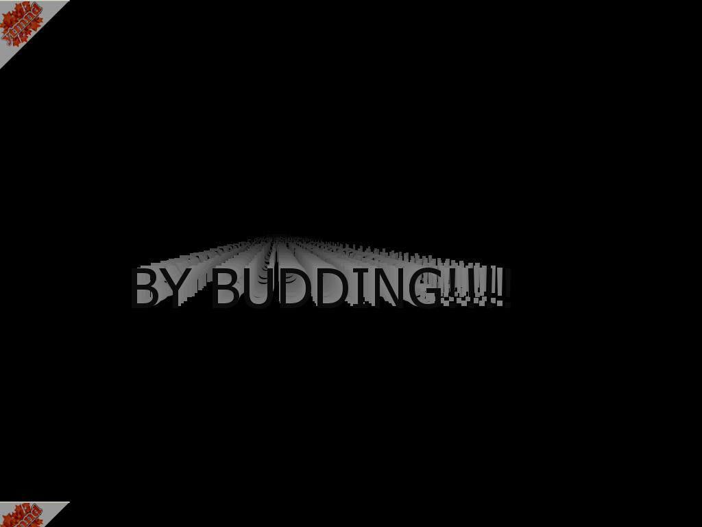 ytmndbudding