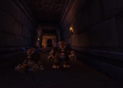 WoW Dance Party Furbolg Edition!!!!