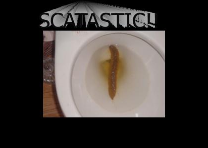 SCAT