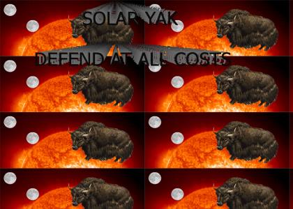 SOLAR YAK DEFENDS HIS HOME