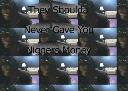 They Shoulda Never Gave You Niggers Money