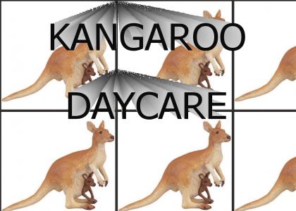 Kangaroo Daycare!