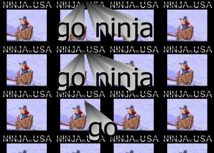 Ninja in U.S.A.