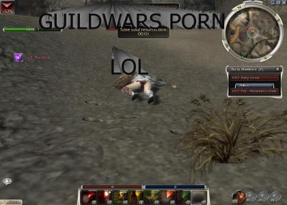 guild wars porn?!?!?