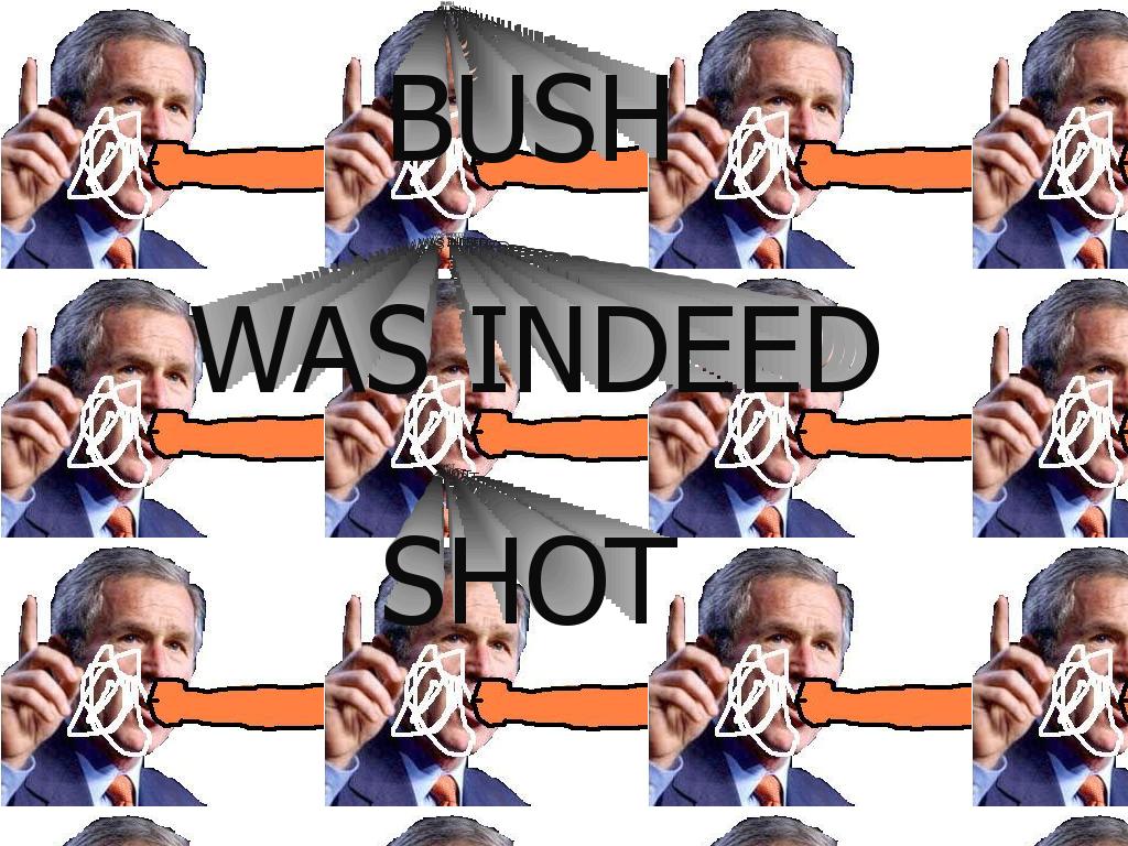 bushwasshot