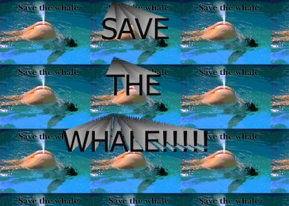 SAVE THE WHALE!!!!!!!!!!