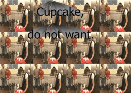 Cupcake do not want