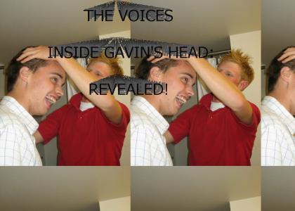 the voices in gavin's head