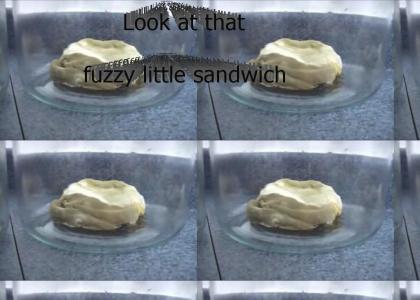 Fuzzy Little McDonalds Sandwich