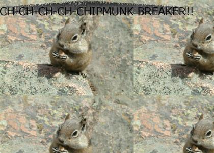 Chipmunk breaker