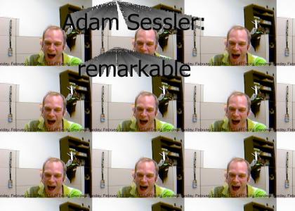 Adam Sessler: It's Remarkable.