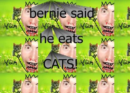 bernie said he eats cats