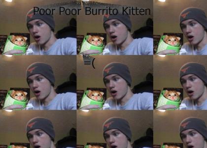 Things are not looking good for Burrito Kitten
