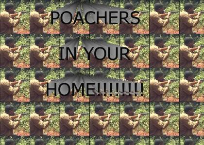 POACHERS IN YOUR HOME!!!!!!!!!!!