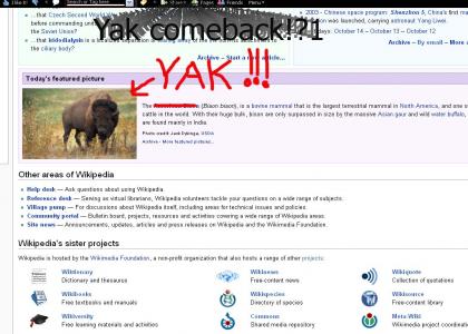 Yak Comeback?!