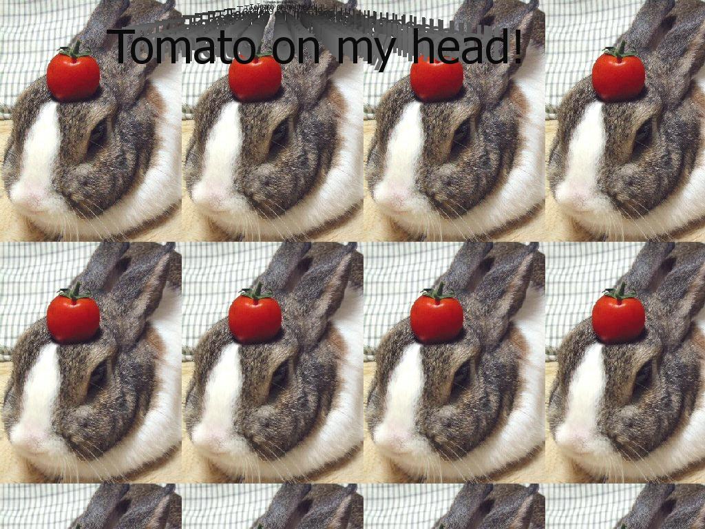 tomatoonmyhead