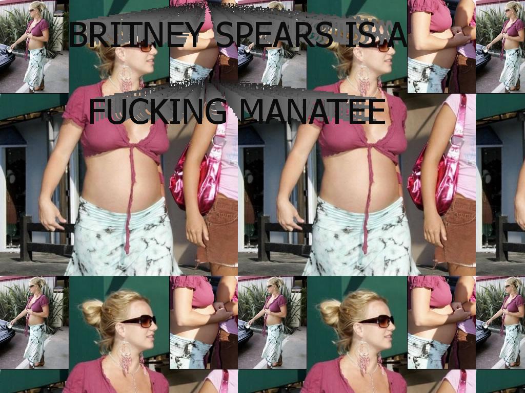 britneyhuge