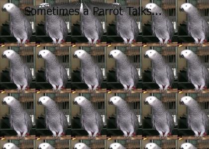 Sometimes a Parrot Talks