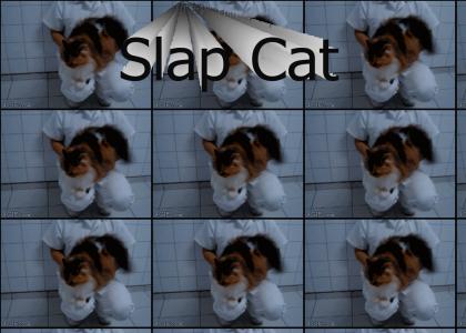 Slap Cat
