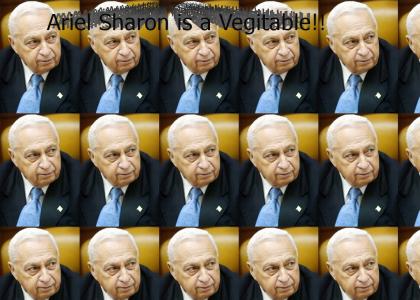 Ariel Sharon is a Vegitable...