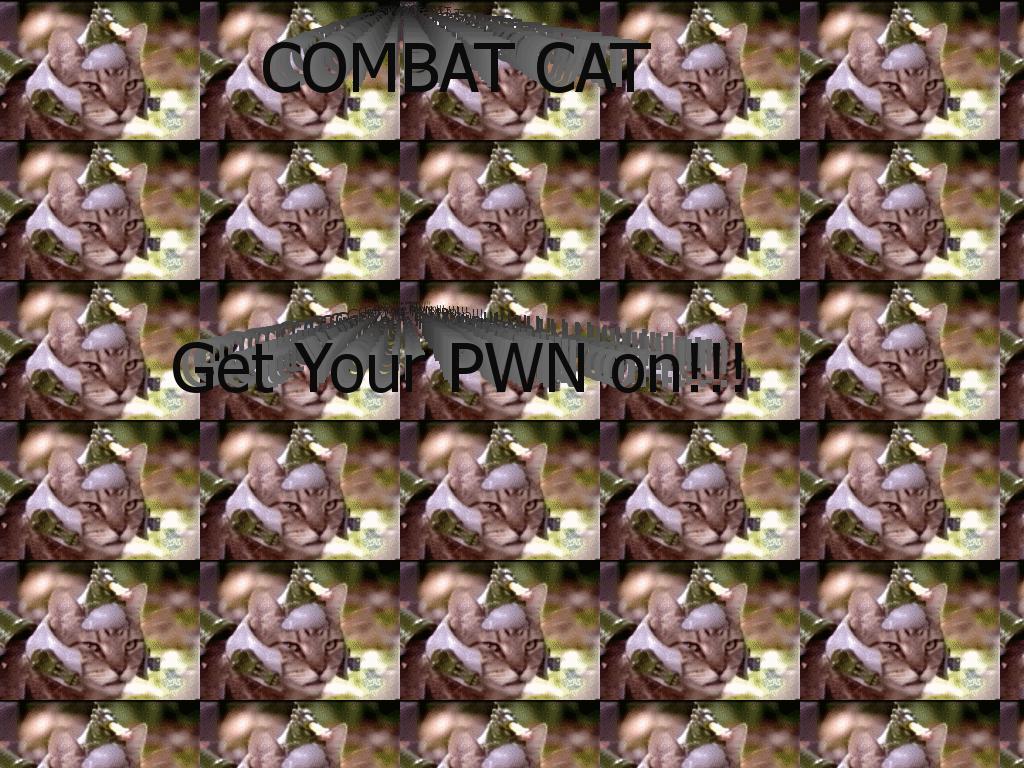 combatcat