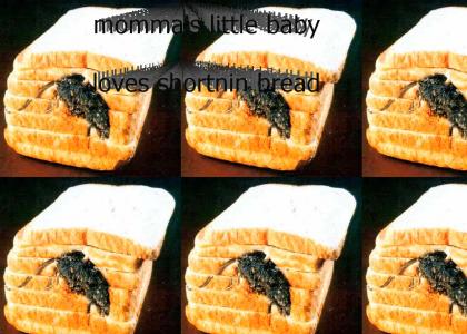 Momma's Little Baby Loves Shortnin Bread