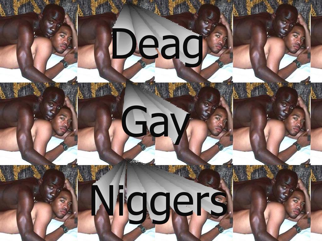 gaynigger