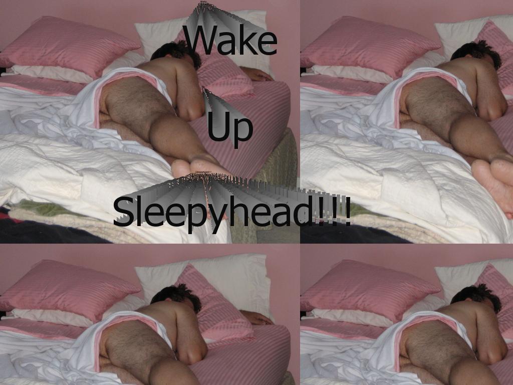 sleepyterry