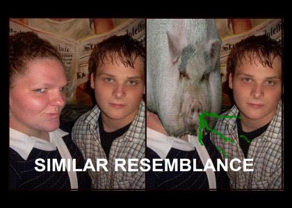 omgsimilarresemblance