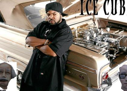 Ice Cube (Half-Life Scientist Remix)