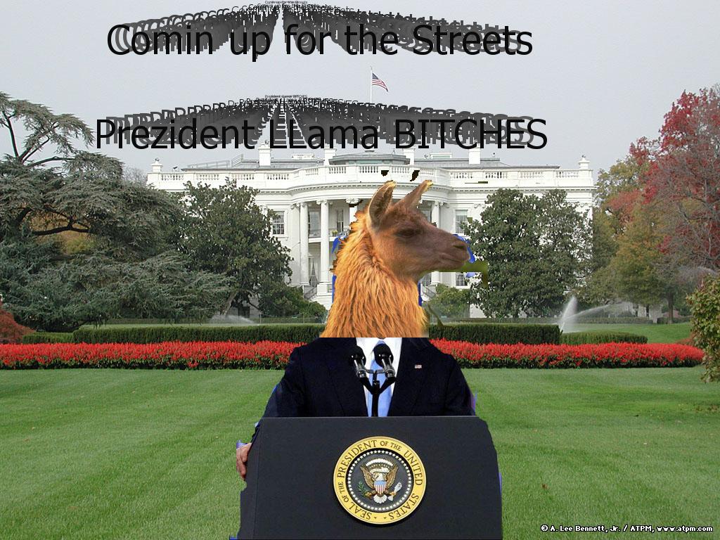 presidentllama