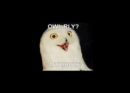 ODE RLY. AN ODE TO OWLS