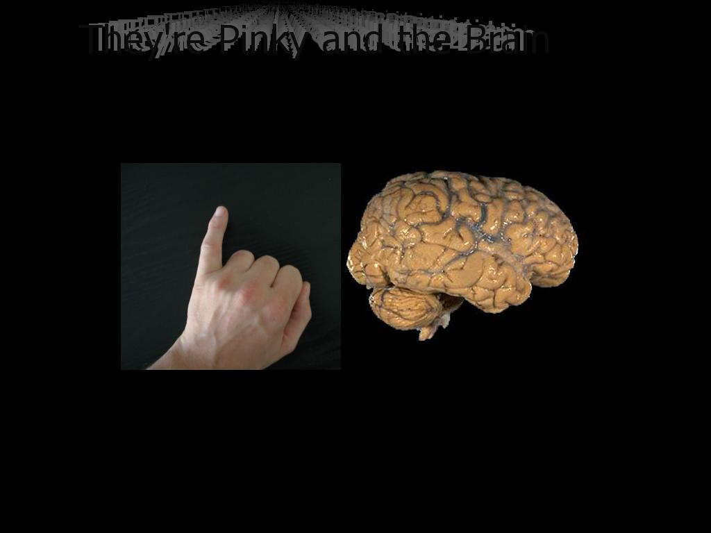 theyrepinkyandthebrain