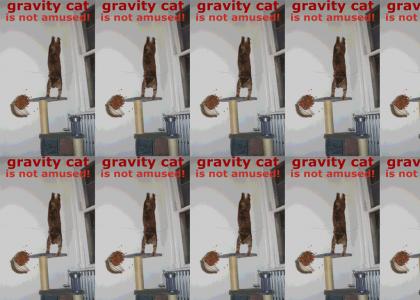 Not Even Gravity Cat