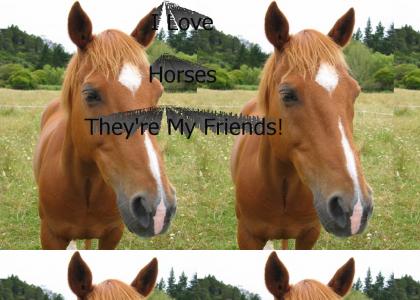 I Love Horses