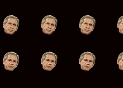 What Bush Thinks About