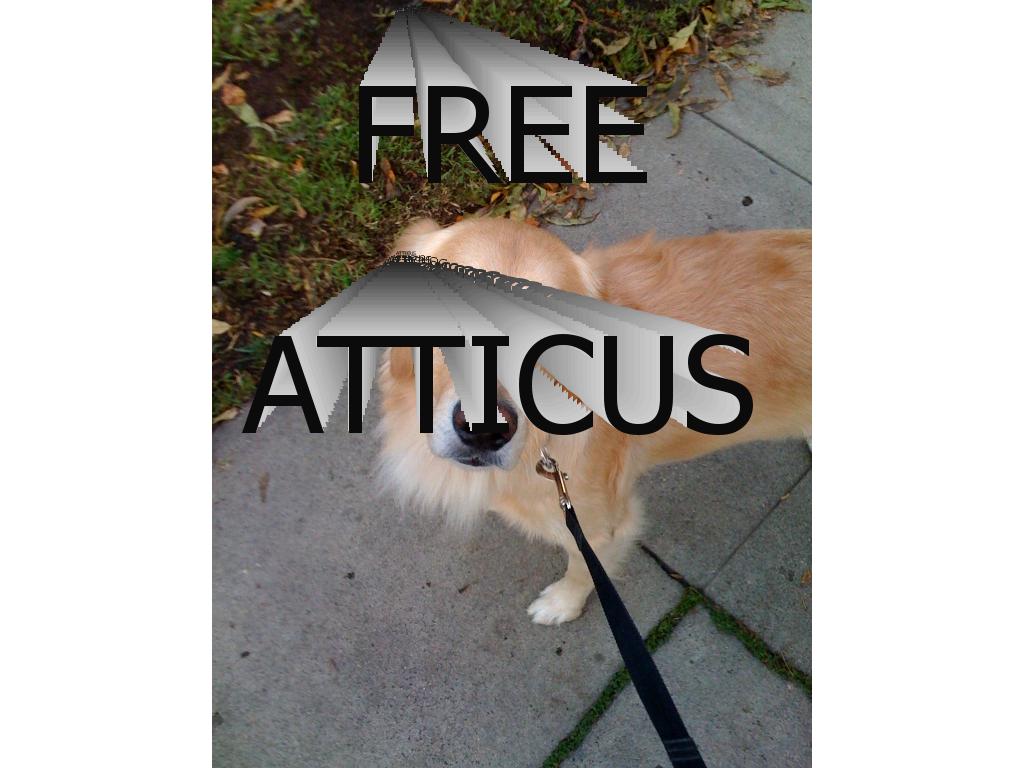 FreeAtticus