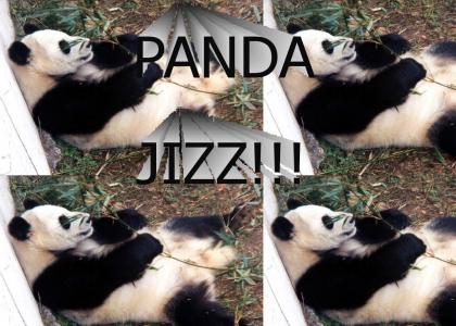 Panda Jizz