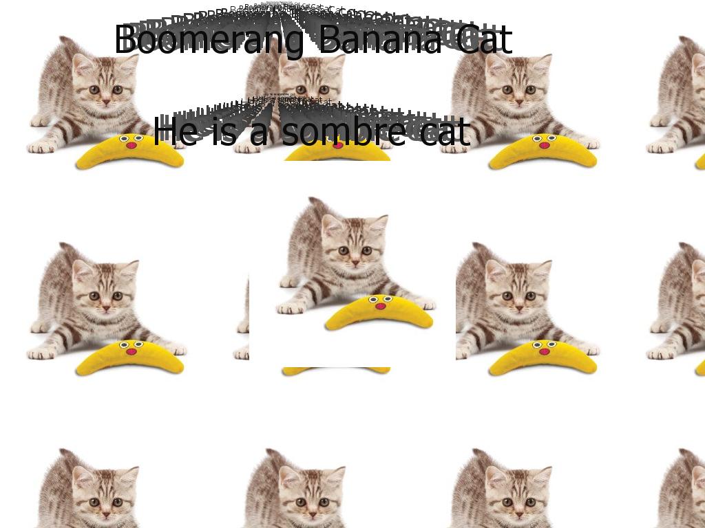 boomerangcat