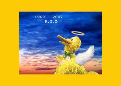 Big Bird Gets his Wings  RIP 1969-2007