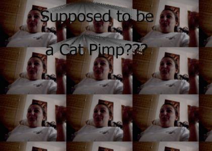 Supposed Cat Pimp?
