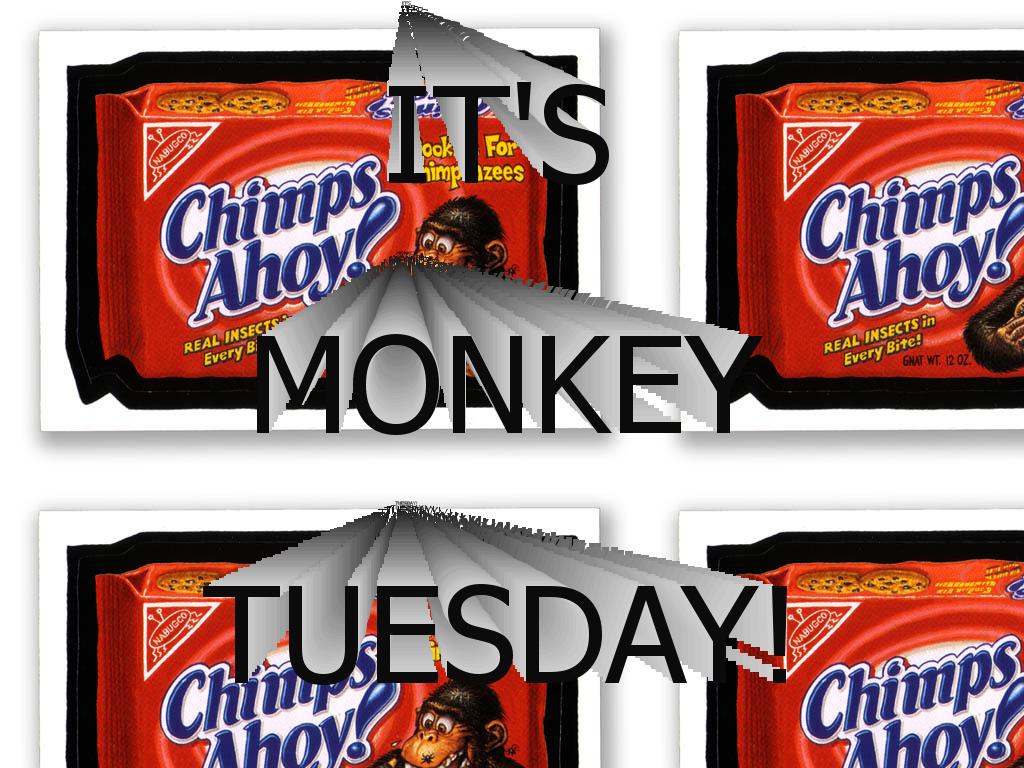 itsmonkeytuesday