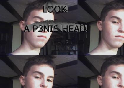 p3nis head